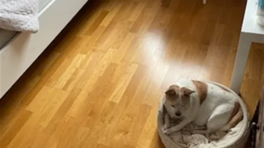 Rooms in Upplands Väsby - photo 6