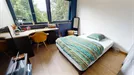 Room for rent, Lyon, Auvergne-Rhône-Alpes, Chemin du Petit Revoyet