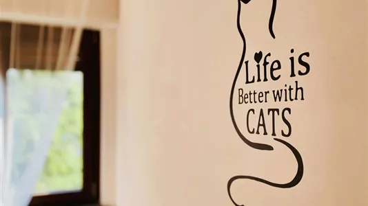 Rooms in Milano Zona 7 - Baggio, De Angeli, San Siro - photo 10