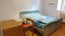 Room for rent, Trento, Trentino-Alto Adige, &lt;span class=&quot;blurred street&quot; onclick=&quot;ProcessAdRequest(7739871)&quot;&gt;&lt;span class=&quot;hint&quot;&gt;See streetname&lt;/span&gt;[xxxxxxxxxxxxx]&lt;/span&gt;
