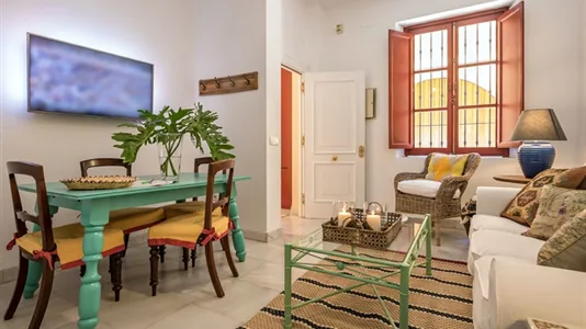 Apartments in Sevilla Casco Antiguo - photo 5