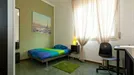 Room for rent, Bologna, Emilia-Romagna, Via della Salute