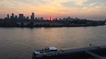 Apartment for rent in Rotterdam