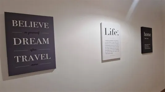 Rooms in Roma Municipio VIII – Appia Antica - photo 7