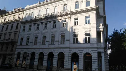 Apartment for rent in Budapest Terézváros, Budapest