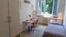 Room for rent, Florence, Toscana, Via del Campuccio