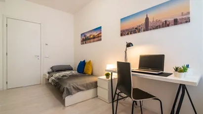 Room for rent in Padua, Veneto