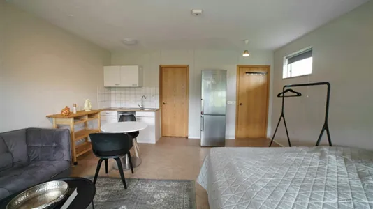 Apartments in Reykjavík Hlíðar - photo 8