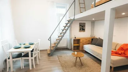 Apartment for rent in Budapest Józsefváros, Budapest