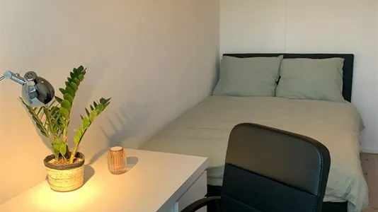 Rooms in Rotterdam Delfshaven - photo 10