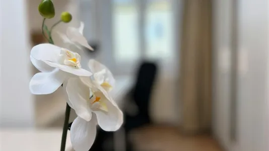 Rooms in Vienna Margareten - photo 3