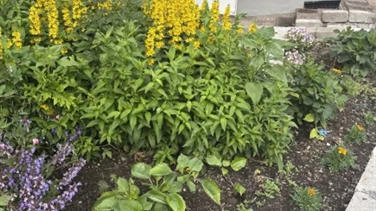 Houses in Huddinge - photo 14