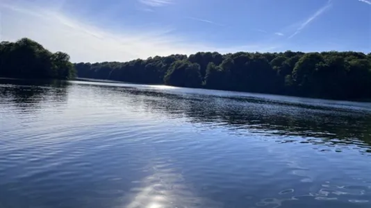 Houses in Simrishamn - photo 11