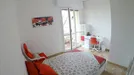 Room for rent, Florence, Toscana, Piazza Augusto Conti