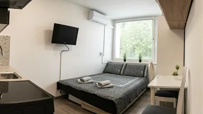 Apartment for rent in Hoče-Slivnica, Podravska
