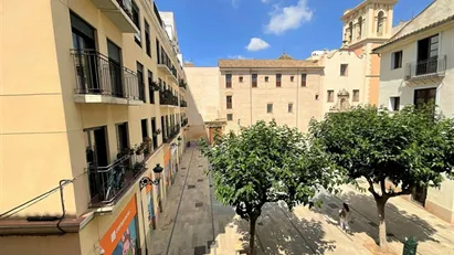 Apartment for rent in Valencia Ciutat Vella, Valencia (region)