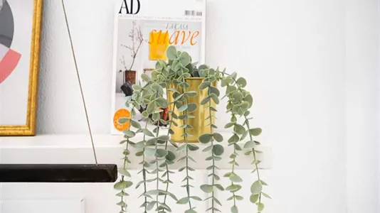 Rooms in Madrid Centro - photo 8