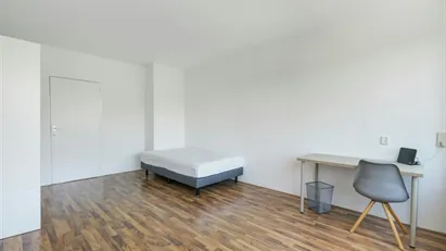 Room for rent in Rotterdam