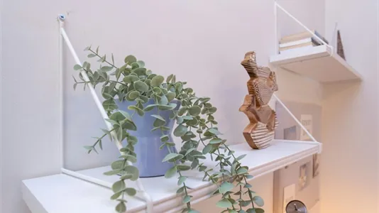 Rooms in Location is not specified - photo 4