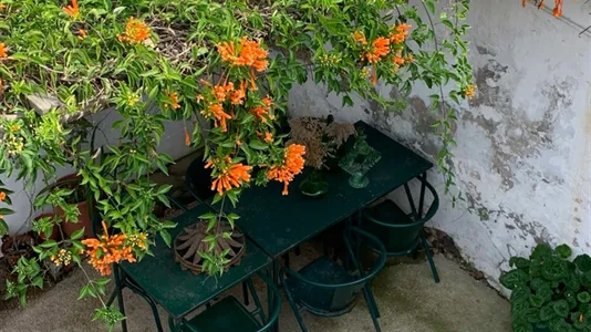 Houses in Odemira - photo 8