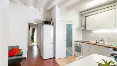 Apartment for rent in Barcelona Ciutat Vella, Barcelona