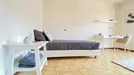 Room for rent, Trento, Trentino-Alto Adige, &lt;span class=&quot;blurred street&quot; onclick=&quot;ProcessAdRequest(12090877)&quot;&gt;&lt;span class=&quot;hint&quot;&gt;See streetname&lt;/span&gt;[xxxxxxxxxxxxx]&lt;/span&gt;