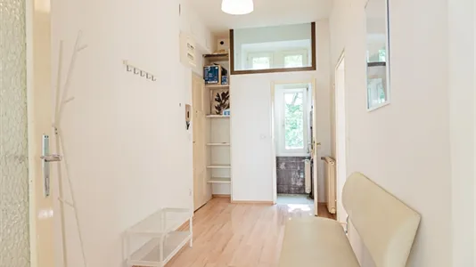 Rooms in Vienna Josefstadt - photo 6