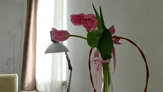 Apartments in Budapest II. kerület - photo 9