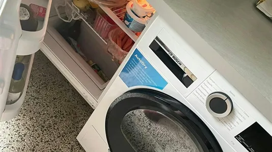 Rooms in Pisa - photo 5