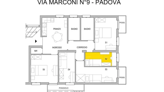 Rooms in Padua - photo 7