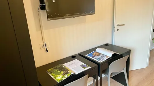 Apartments in Padua - photo 8