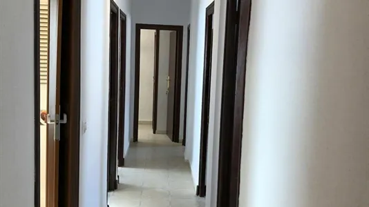 Rooms in Valencia Camins al Grau - photo 9