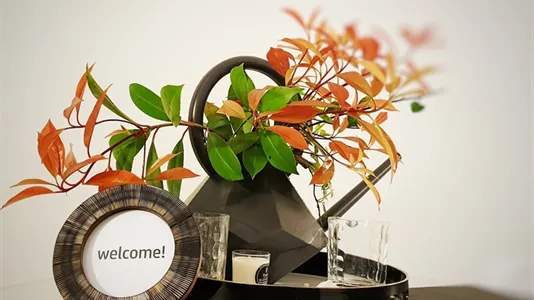 Apartments in Bologna - photo 4