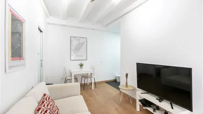 Apartment for rent in Barcelona Ciutat Vella, Barcelona