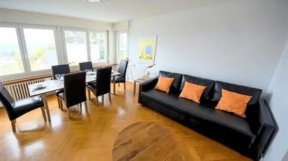 Apartment for rent in Zürich Distrikt 7, Zürich