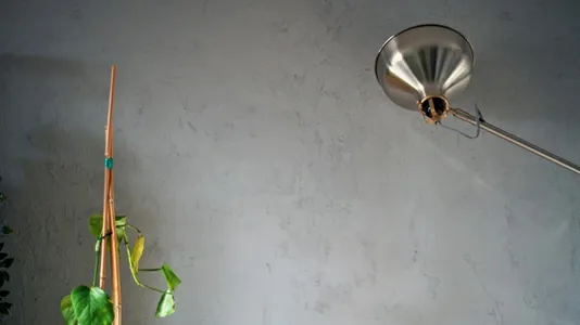 Apartments in Frankfurt Süd - photo 3