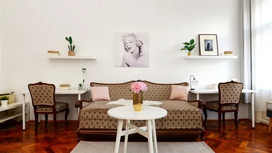 Apartments in Budapest Ferencváros - photo 4