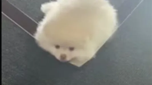 Rooms in Saint-Denis - photo 6