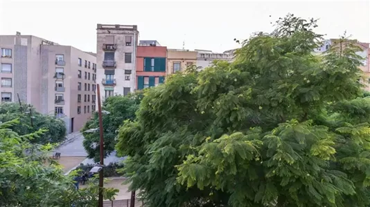 Apartments in Barcelona Ciutat Vella - photo 8