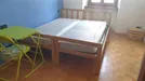 Room for rent, Trento, Trentino-Alto Adige, &lt;span class=&quot;blurred street&quot; onclick=&quot;ProcessAdRequest(7738049)&quot;&gt;&lt;span class=&quot;hint&quot;&gt;See streetname&lt;/span&gt;[xxxxxxxxxxxxx]&lt;/span&gt;