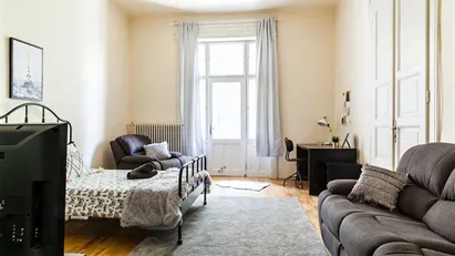 Room for rent in Budapest Erzsébetváros, Budapest