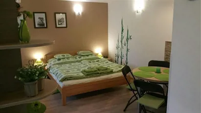 House for rent in Budapest Óbuda-Békásmegyer, Budapest