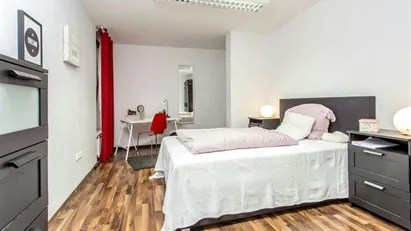 Room for rent in Frankfurt Süd, Frankfurt (region)