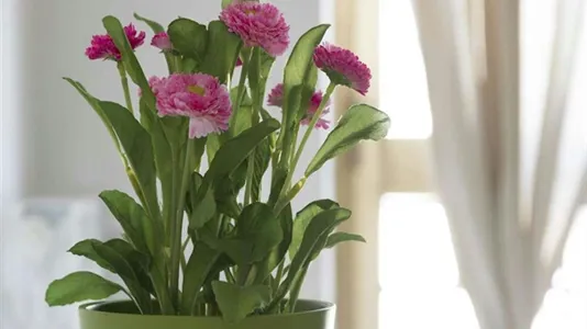 Rooms in Milano Zona 1 - Centro storico - photo 6