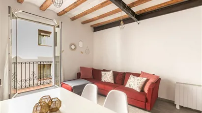 Apartment for rent in Barcelona Ciutat Vella, Barcelona