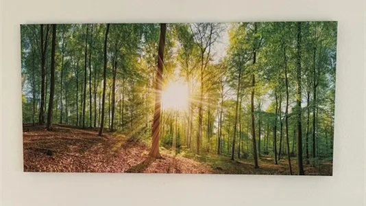 Apartments in Karlsruhe - photo 4