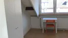 Room for rent, Maastricht, Limburg, Notenborg