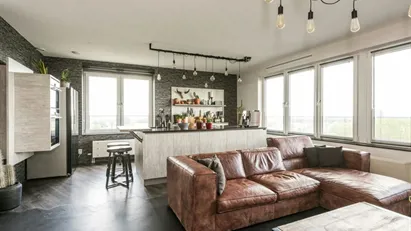 Apartment for rent in Rotterdam