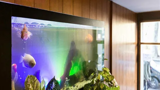 Rooms in Milano Zona 5 - Vigentino, Chiaravalle, Gratosoglio - photo 9