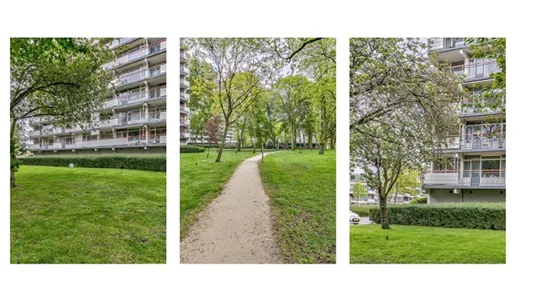 Rooms in Capelle aan den IJssel - photo 4